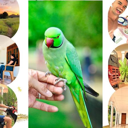 Grand Refuge Bird View Lake Jogging Foods Bikes Tuk Tuk & Free City Tour Guidence อนุราธปุระ ภายนอก รูปภาพ